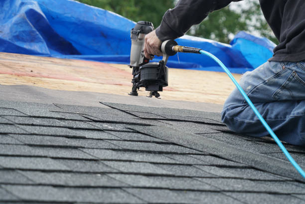 Best Roof Gutter Cleaning  in Wathena, KS