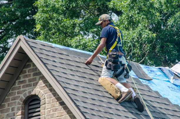 Roof Gutter Cleaning in Wathena, KS